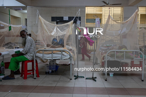 Dengue patients lie inside mosquito nets at Mugda Medical College and Hospital in Dhaka, Bangladesh, on September 18, 2024. 