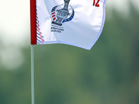 GAINESVILLE, VIRGINIA - SEPTEMBER 15: The flag at the 12th green wafts in the breeze during the final round of the Solheim Cup at Robert Tre...