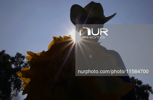 Enrique Ortega Padron, a native of the Tlahuac municipality in Mexico City, shows the squash blossoms he cuts on September 18, 2024, in a pl...