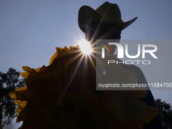 Enrique Ortega Padron, a native of the Tlahuac municipality in Mexico City, shows the squash blossoms he cuts on September 18, 2024, in a pl...