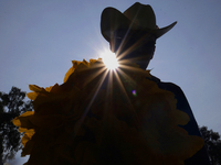 Enrique Ortega Padron, a native of the Tlahuac municipality in Mexico City, shows the squash blossoms he cuts on September 18, 2024, in a pl...