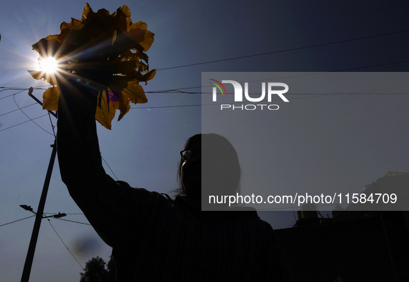 Mitzi Ortega Padron, a native of the Tlahuac municipality in Mexico City, cuts squash blossoms on a plot of land located on the limits of th...