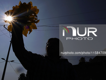 Mitzi Ortega Padron, a native of the Tlahuac municipality in Mexico City, cuts squash blossoms on a plot of land located on the limits of th...