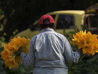 Lucia Padron, a native of the Tlahuac district in Mexico City, loads squash blossoms on a plot of land located on the edge of the district t...