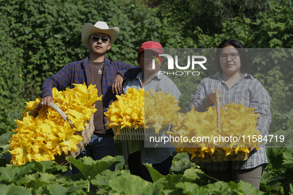 Enrique Ortega Padron, Lucia Padron, and Mitizi Ortega Padron, originally from the Tlahuac municipality in Mexico City, pose with squash blo...