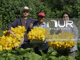 Enrique Ortega Padron, Lucia Padron, and Mitizi Ortega Padron, originally from the Tlahuac municipality in Mexico City, pose with squash blo...