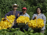 Enrique Ortega Padron, Lucia Padron, and Mitizi Ortega Padron, originally from the Tlahuac municipality in Mexico City, pose with squash blo...