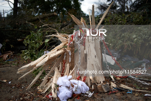 A stump is destroyed by an excavator at the 'Verger' ZAD. For the second day, Gendarmerie and CNAMO try to dislodge 'Ecureuils' (i.e., 'Squi...