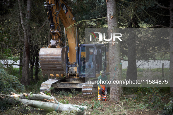 A logger cuts a tree before the excavator driver fells it. For the second day, Gendarmerie and CNAMO try to dislodge 'Ecureuils' (i.e., 'Squ...