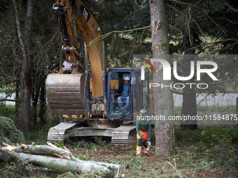 A logger cuts a tree before the excavator driver fells it. For the second day, Gendarmerie and CNAMO try to dislodge 'Ecureuils' (i.e., 'Squ...