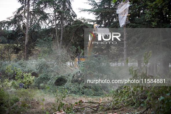 The excavator driver fells a tree with his machine in the 'Verger' ZAD. For the second day, Gendarmerie and CNAMO try to dislodge 'Ecureuils...