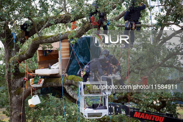 In Verfeil, France, on September 17, 2024, policemen of the CNAMO arrest a 'Squirrel' in an oak tree that will be cut for the building of th...