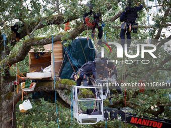 In Verfeil, France, on September 17, 2024, policemen of the CNAMO arrest a 'Squirrel' in an oak tree that will be cut for the building of th...