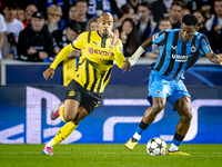 Borussia Dortmund forward Donyell Malen and Club Brugge midfielder Raphael Onyedika during the match between Club Brugge and Borussia Dortmu...