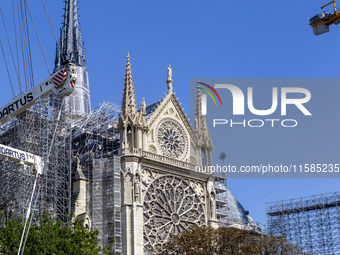 An exterior view of Notre Dame and construction cranes while the reconstruction process takes place in Paris, France, on September 15, 2024....