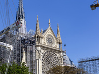 An exterior view of Notre Dame and construction cranes while the reconstruction process takes place in Paris, France, on September 15, 2024....