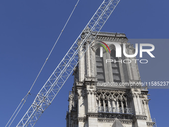 An exterior view of Notre Dame and construction cranes while the reconstruction process takes place in Paris, France, on September 15, 2024....