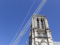 An exterior view of Notre Dame and construction cranes while the reconstruction process takes place in Paris, France, on September 15, 2024....