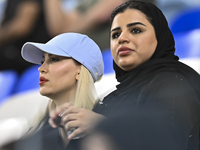 Tractor SC supporters cheer for their team during the AFC Champions League Two Group A football match between Qatar's Al Wakrah SC and Iran'...