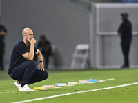 Miguel Angel Ramirez Medina, head coach of Al Wakrah SC, reacts during the AFC Champions League football match between Qatar's Al Wakrah SC...