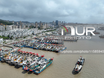 A large number of fishing boats moor at Shenjiamen Fishing Port to take shelter from Typhoon Pulasan in Zhoushan, China, on September 19, 20...