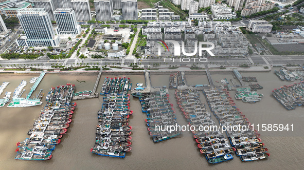 A large number of fishing boats moor at Shenjiamen Fishing Port to take shelter from Typhoon Pulasan in Zhoushan, China, on September 19, 20...