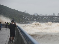 The Qiantang River tide causes huge waves in the Hangzhou section due to the impact of Typhoon ''Pulasan'', which is about to make landfall...