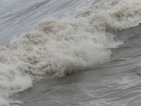 The Qiantang River tide causes huge waves in the Hangzhou section due to the impact of Typhoon ''Pulasan'', which is about to make landfall...