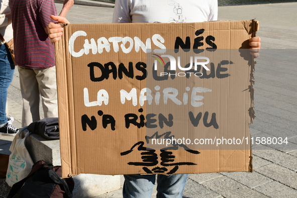 Protesters from the Ron Rhone association stand in front of the Villeurbanne town hall to urge the city's mayor to sterilize stray cats in V...