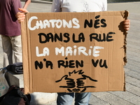 Protesters from the Ron Rhone association stand in front of the Villeurbanne town hall to urge the city's mayor to sterilize stray cats in V...