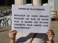 Protesters from the Ron Rhone association stand in front of the Villeurbanne town hall to urge the city's mayor to sterilize stray cats in V...