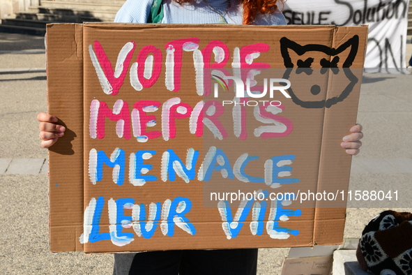 Protesters from the Ron Rhone association stand in front of the Villeurbanne town hall to urge the city's mayor to sterilize stray cats in V...