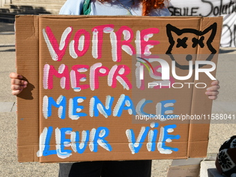 Protesters from the Ron Rhone association stand in front of the Villeurbanne town hall to urge the city's mayor to sterilize stray cats in V...