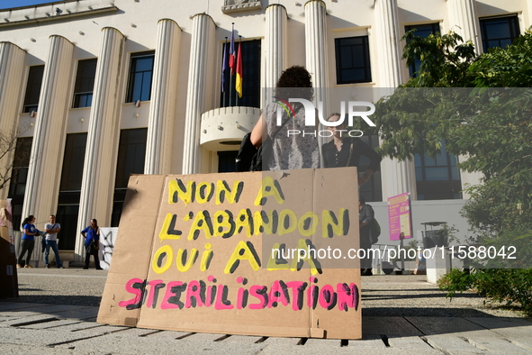 Protesters from the Ron Rhone association stand in front of the Villeurbanne town hall to urge the city's mayor to sterilize stray cats in V...