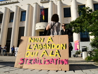 Protesters from the Ron Rhone association stand in front of the Villeurbanne town hall to urge the city's mayor to sterilize stray cats in V...