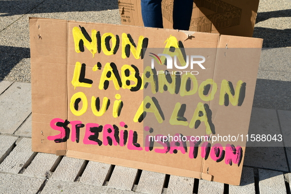 Protesters from the Ron Rhone association stand in front of the Villeurbanne town hall to urge the city's mayor to sterilize stray cats in V...