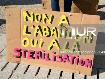 Protesters from the Ron Rhone association stand in front of the Villeurbanne town hall to urge the city's mayor to sterilize stray cats in V...