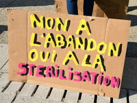 Protesters from the Ron Rhone association stand in front of the Villeurbanne town hall to urge the city's mayor to sterilize stray cats in V...