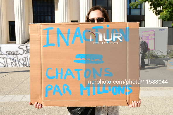 Protesters from the Ron Rhone association stand in front of the Villeurbanne town hall to urge the city's mayor to sterilize stray cats in V...