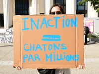 Protesters from the Ron Rhone association stand in front of the Villeurbanne town hall to urge the city's mayor to sterilize stray cats in V...