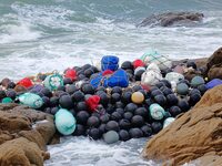 Floating balls for offshore farming come ashore with waves affected by Typhoon Pulasan in Qingdao, China, on September 20, 2024. (