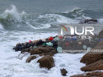 Floating balls for offshore farming come ashore with waves affected by Typhoon Pulasan in Qingdao, China, on September 20, 2024. (