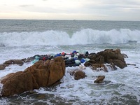 Floating balls for offshore farming come ashore with waves affected by Typhoon Pulasan in Qingdao, China, on September 20, 2024. (