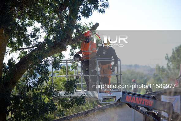 A lumberjack cuts an ash tree where a squirrel lived hours ago. He is arrested. For the fourth day, Gendarmerie and CNAMO try to dislodge sq...