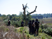 Some opponents look at a mutilated ash tree where a 'squirrel' lives to slow down the construction work. For the fourth day, Gendarmerie and...