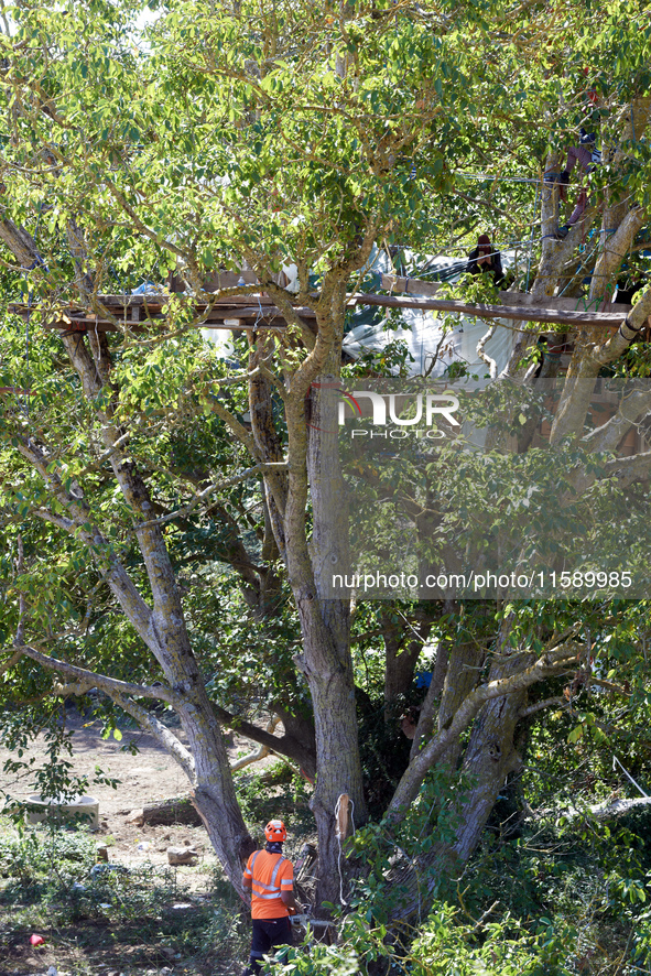 Zineb, the walnut tree where two squirrels live, blocks its cutting. For the fourth day, Gendarmerie and CNAMO try to dislodge squirrels fro...