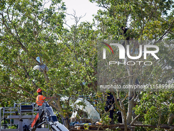 As a CNAMO member negotiates with a 'Ecureuil' in Zineb, an old walnut tree, a logger begins to cut branches. For the fourth day, Gendarmeri...