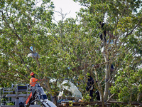 As a CNAMO member negotiates with a 'Ecureuil' in Zineb, an old walnut tree, a logger begins to cut branches. For the fourth day, Gendarmeri...