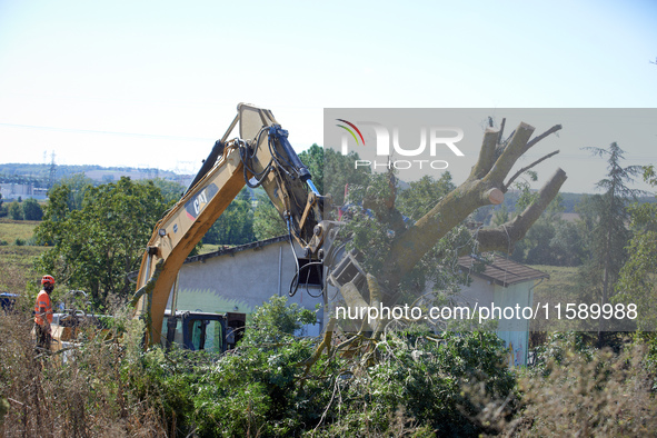 The end for an ash tree occupied by a squirrel only one hour ago. For the fourth day, Gendarmerie and CNAMO try to dislodge squirrels from t...