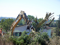 The end for an ash tree occupied by a squirrel only one hour ago. For the fourth day, Gendarmerie and CNAMO try to dislodge squirrels from t...